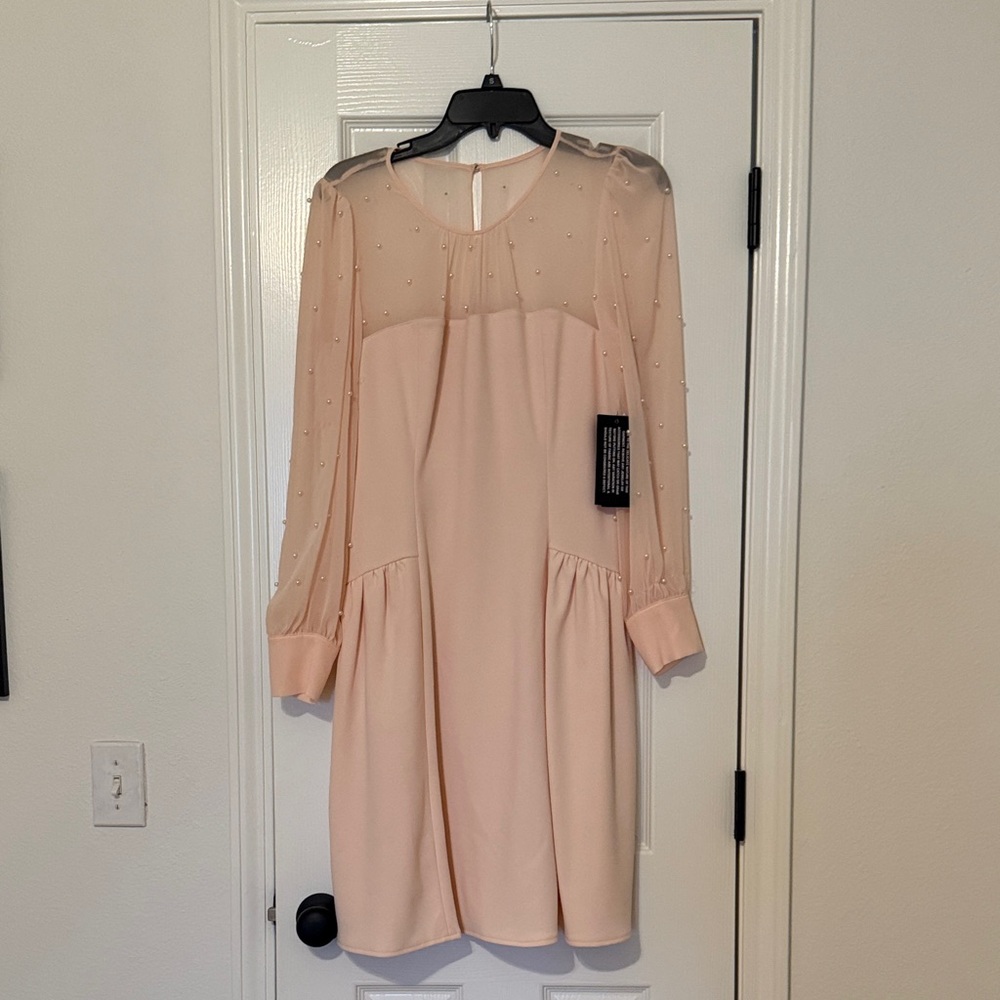 NWT Sheer Sleeve Pink Dress with Pearl Details